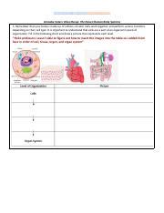 three sisters system practice test